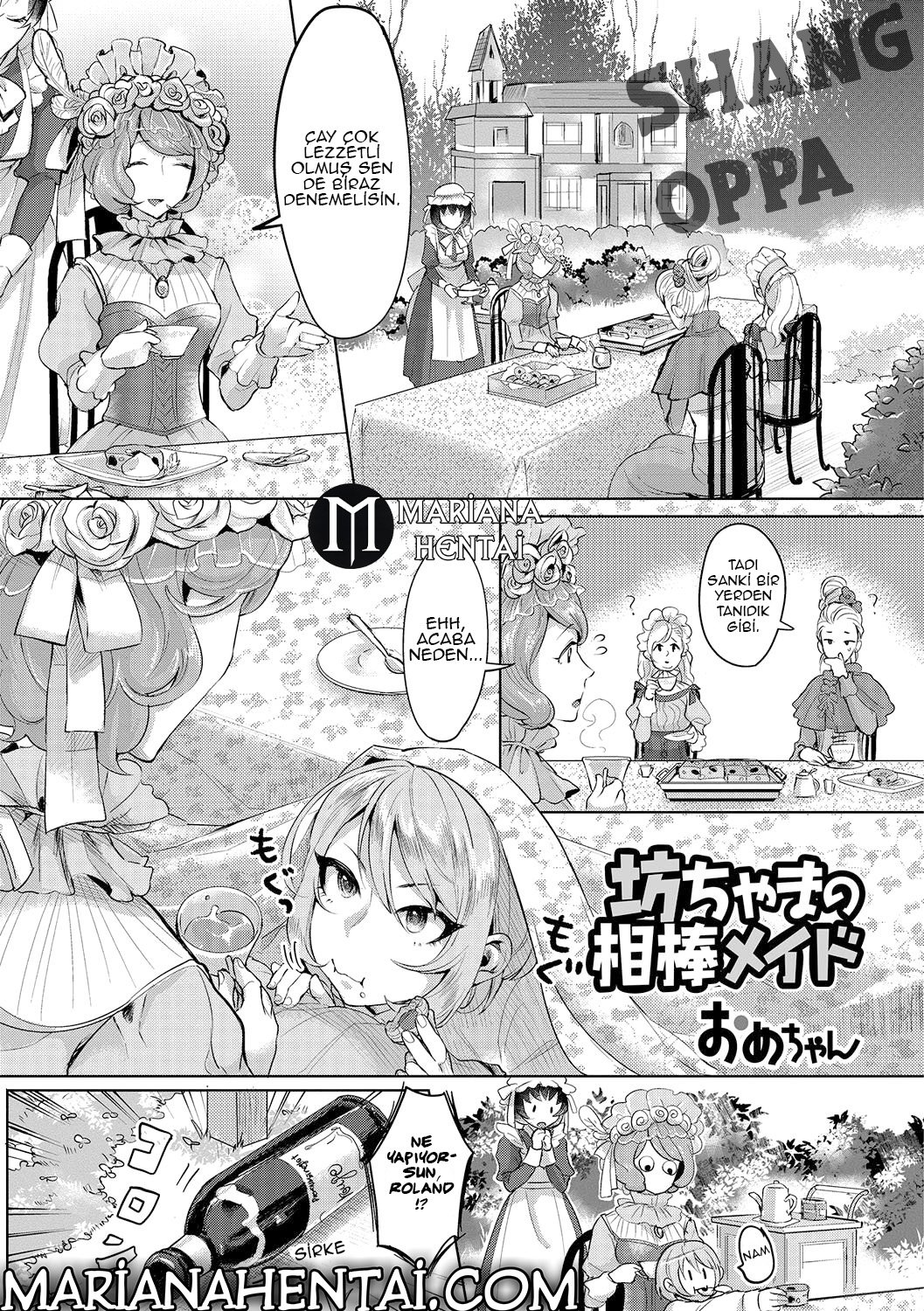 The Young Master’s Partner Maid